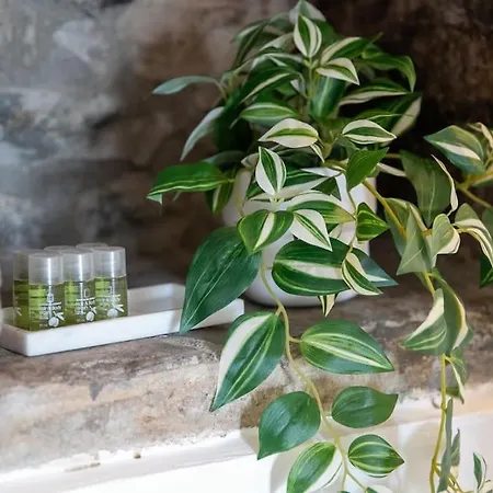 Apartament Amazing View With Jacuzzi, Private Garden And Gym